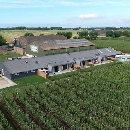 Hoeve Oude Tol Zuidzande Dış mekan fotoğraf